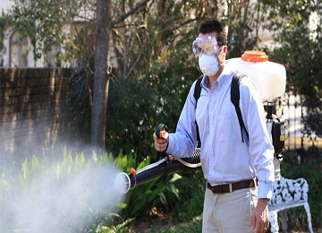  Mosquito Control Service