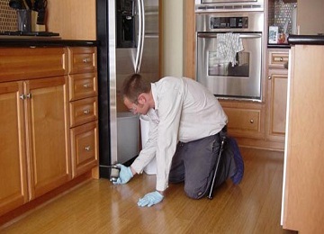   Rodent Control Services