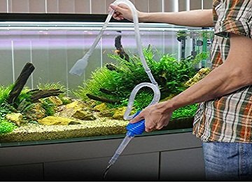 Aquarium Cleaning Service